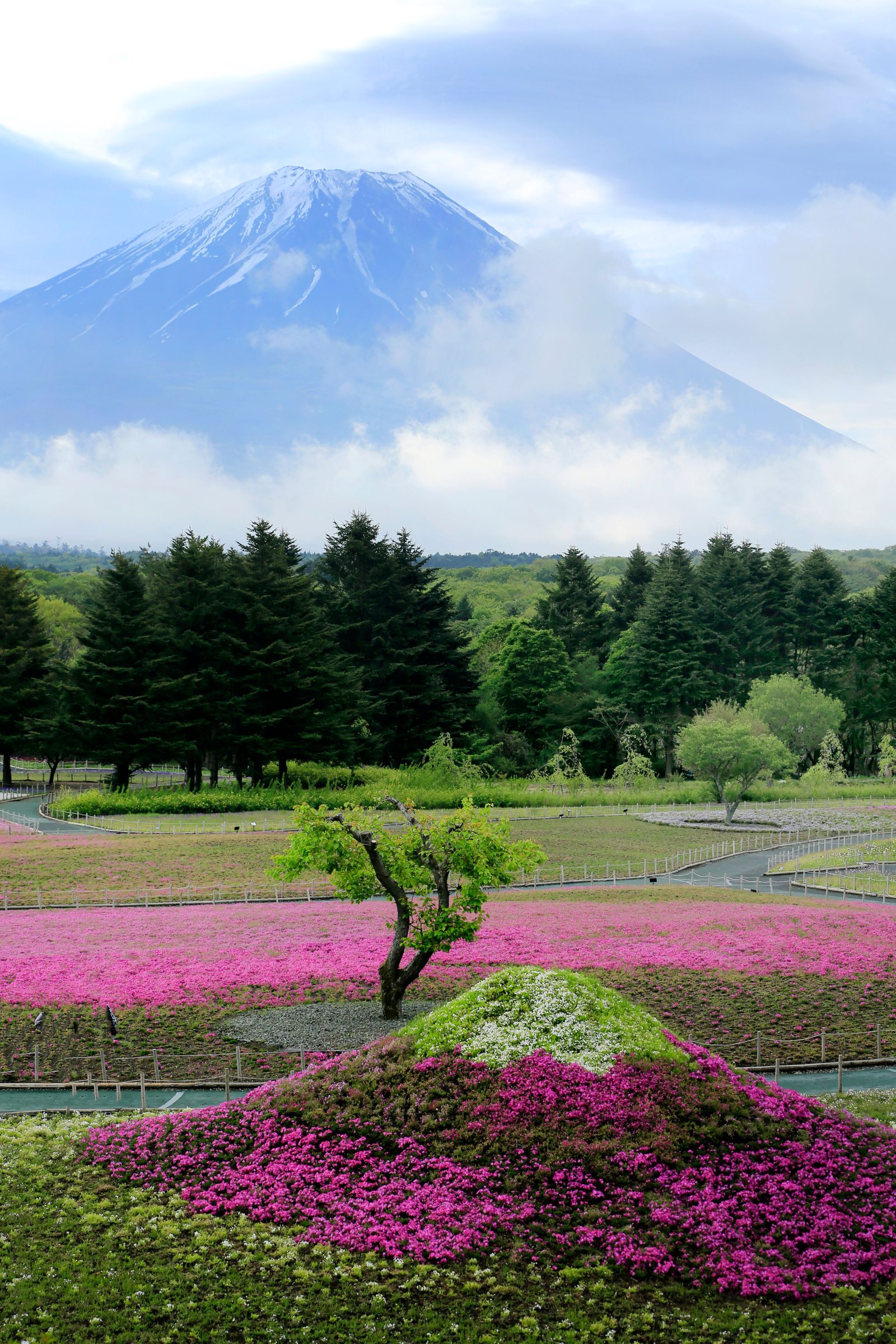 Chureito Pagoda viewpoint overlooking Mount Fuji